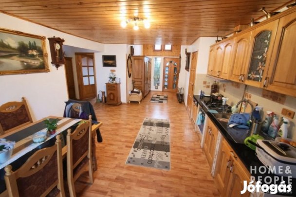 Eladó működő vállalkozás! - Pusztaszer