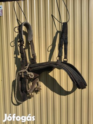 Eladó nagy ló, csikó hám.