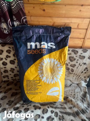 Eladó napraforgó vetőmag
