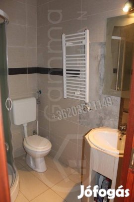 Eladó nyaraló, Tiszacsege Tiszacsege, 19900000 Ft, 75 nm 1088_gaimp