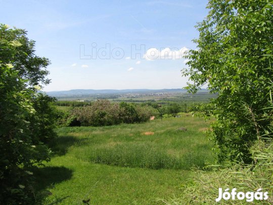 Eladó nyaraló/présház a Csobánc észak-nyugati oldalán!