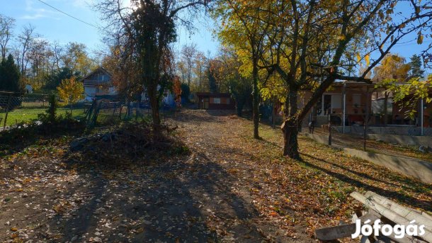 Eladó nyaralótelek, Mogyoród Újfalu, Diófa utca 5