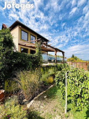 Eladó örökpanorámás családi ház Pákozdon  természetközeli luxus, akár