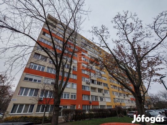 Eladó panellakás Budapest XIV. kerület, Pillangó park