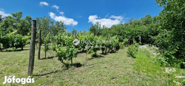 Eladó panorámás telek a Kő-hegyen