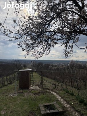 Eladó panorámás telek kis présházzal, Gyúró Öreghegy tetején.