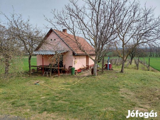 Eladó pince, borospince, szőlő, présház, szőlőspince Buzsákon