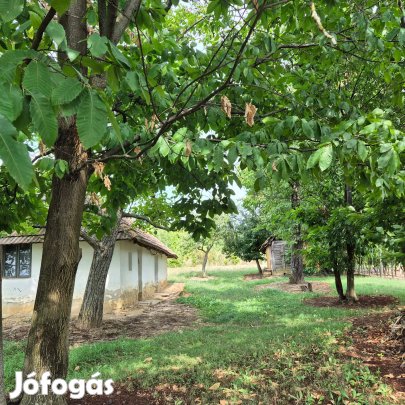 Eladó pince, présház, Somogyzsitfa, Szőlőhegy