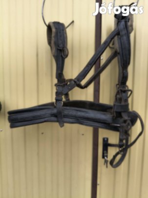 Eladó póni ló. hám..