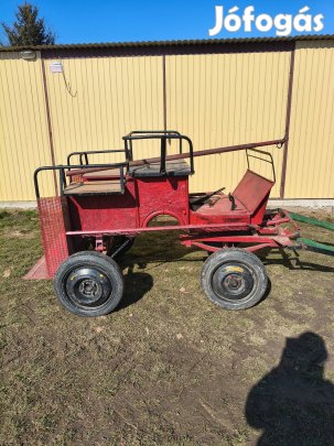 Eladó póni ló, kis ló jártató.