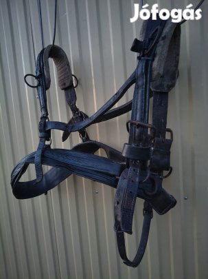 Eladó póni ló hám.