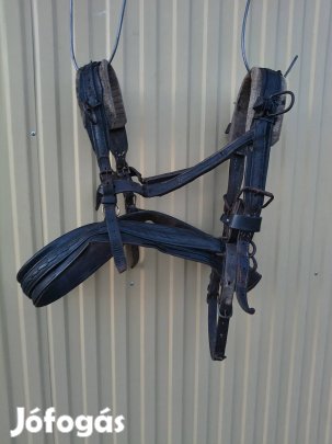 Eladó póni ló hám..