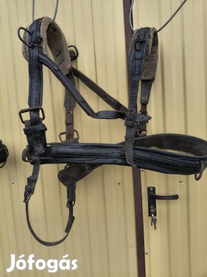 Eladó póniló, kis ló hám..