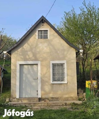 Eladó présház, szőlő