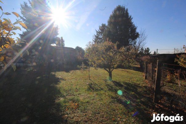 Eladó remek adottságú, déli lejtésű telek Budakeszin