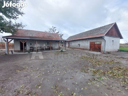 Eladó röszkei tanya, szőlőgazdasággal!