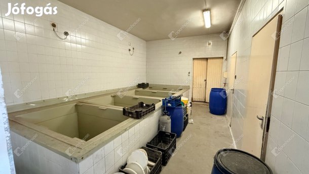 Eladó savanyító üzem Monoron  lakóházzal, teljes infrastruktúrával!