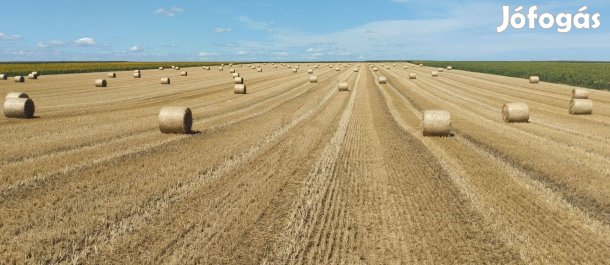 Eladó szalma