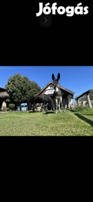 Elado szamár csacsi