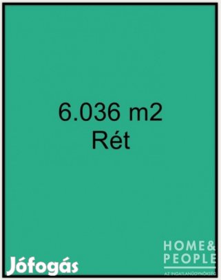 Eladó szántó Ásotthalmon! - Ásotthalom