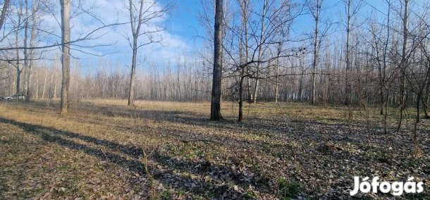 Eladó szántó Cegléden, az Ugyeri dűlőben