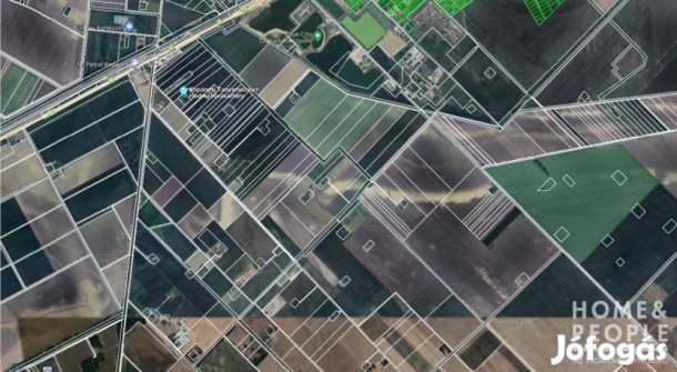 Eladó szántó Hódmezővásárhelyen!