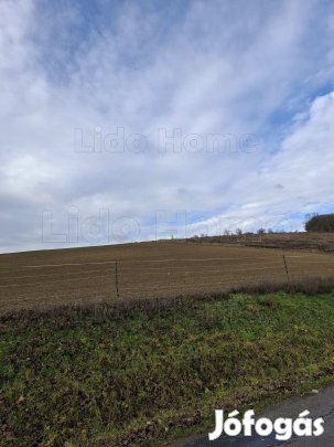 Eladó szántó Kaposgyarmat külterületén