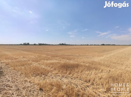 Eladó szántó Óföldeákon!