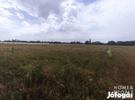 Eladó szántó Ópusztaszeren!