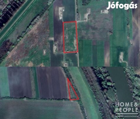 Eladó szántó Szegeden!