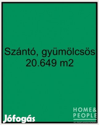 Eladó szántó Zsombón!