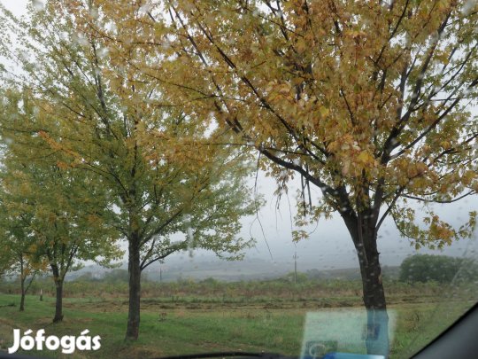 Eladó szántó, Felsőtárkány