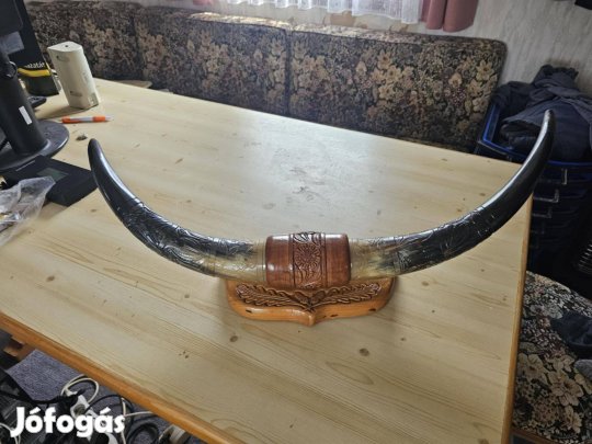 Eladó szép kézzel faragott szürkemarha trófea