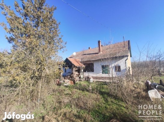 Eladó tanya Kistelek mellett! - Ópusztaszer