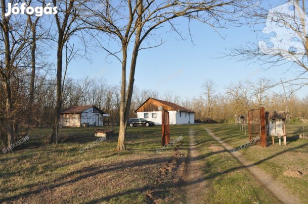 Eladó tanya Nyárlőrincen.