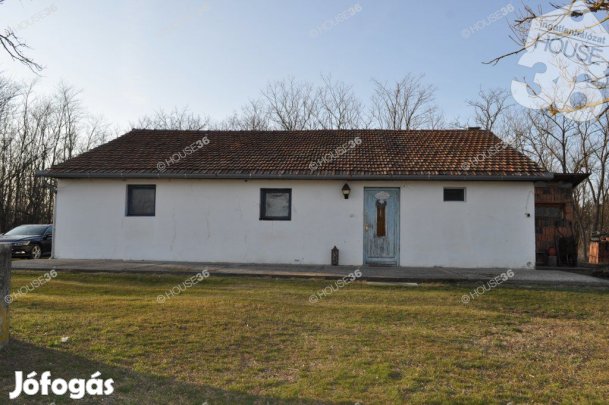 Eladó tanya Nyárlőrincen.
