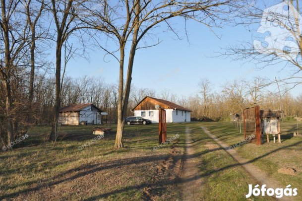 Eladó tanya Nyárlőrincen.