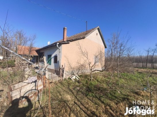 Eladó tanya Ópusztaszeren!