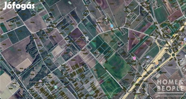 Eladó tanya Röszkén! - Röszke