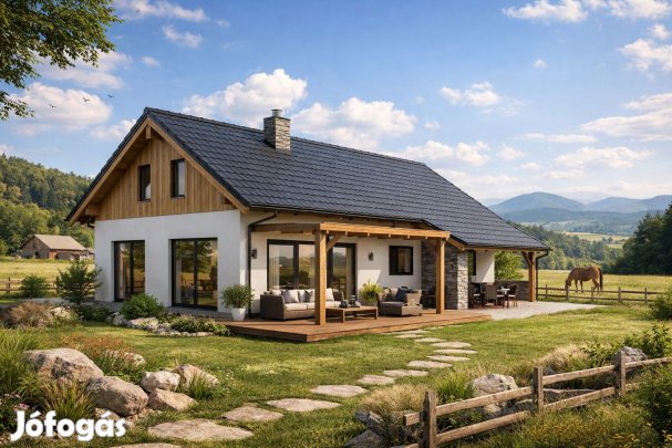 Eladó tanya Szandán, gyönyörű környezet ajándék kis csikó