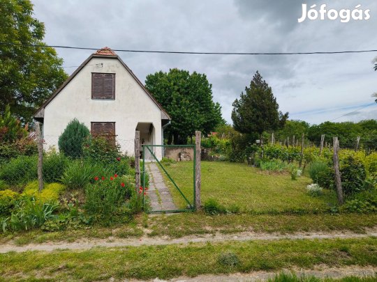 Eladó tanya Szekszárdon