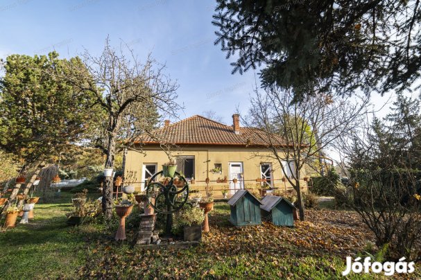 Eladó tanya, Kecskemét
