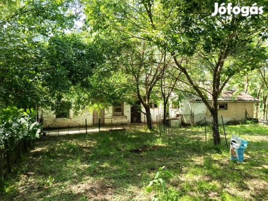 Eladó tanya, Nyíregyháza