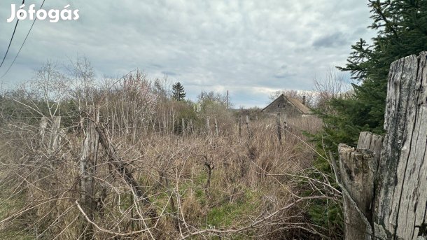 Eladó tanya, gyümölcsös Várdombon az 56-os út mellett