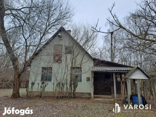 Eladó tanyaként hasznosítható ház és mezőgazdasági terület