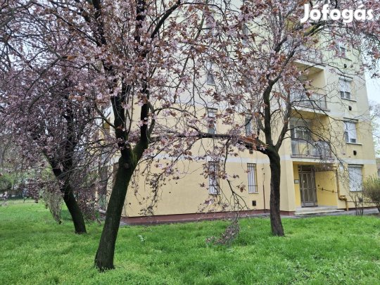 Eladó téglalakás, Szolnok