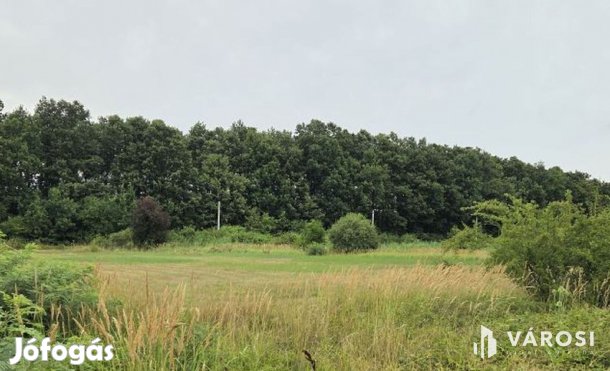 Eladó telek Abádszalók csendes, zöldövezeti részén!