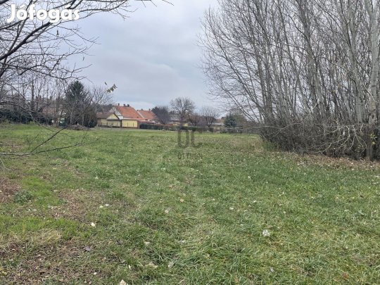 Eladó telek Abony belterületén 1ha területtel!