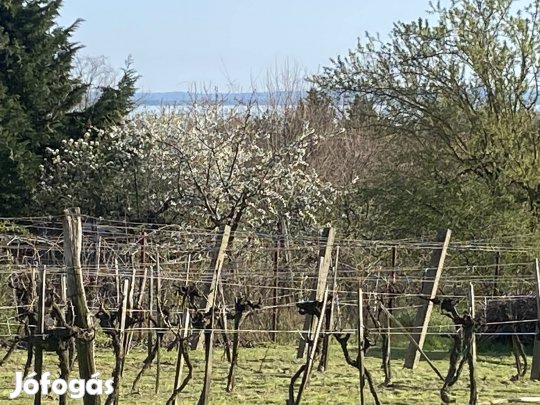 Eladó telek Balatonkenese Öreghegy
