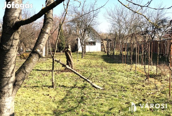 Eladó telek Békéscsaba kertvárosi részén